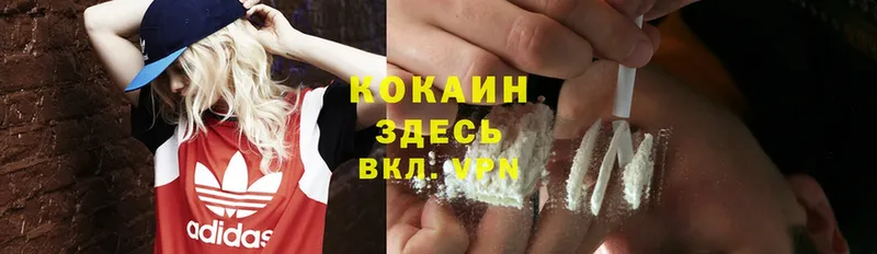 mega зеркало  Николаевск-на-Амуре  мориарти какой сайт  Cocaine Эквадор 